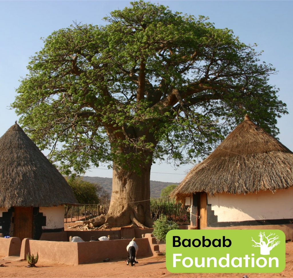 Baobab-foundation