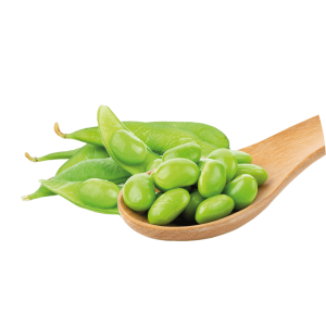 soy bean