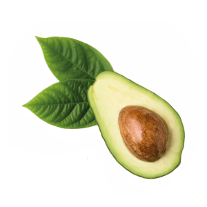 avocado oil