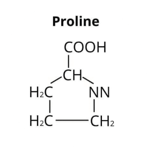 proline